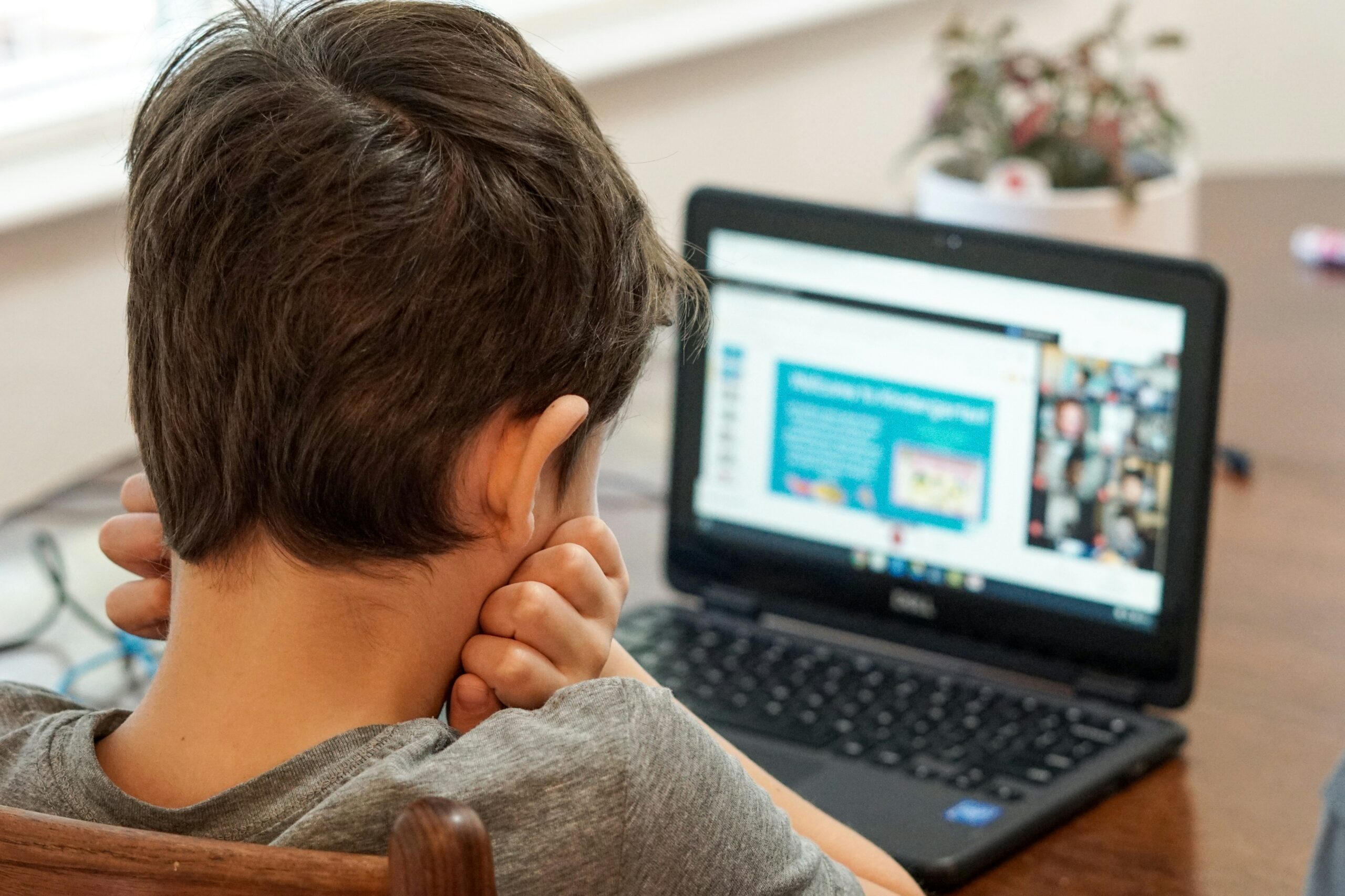 Unlocking Opportunities: The Benefits of Online Learning for Education and Career Advancement boy in gray shirt using black laptop computer