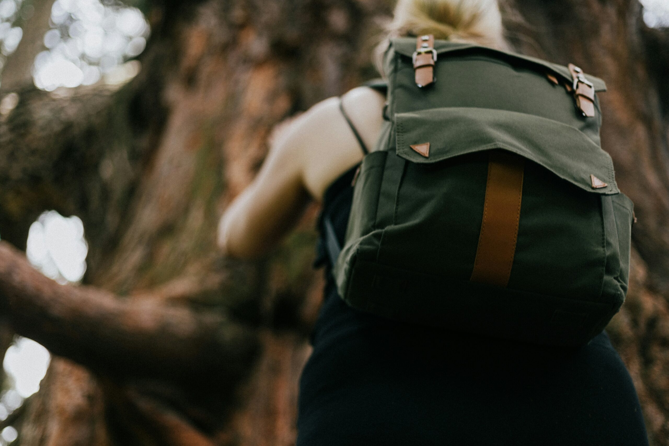 Fitness for Beginners: A Comprehensive Guide to Getting Started with Exercise and Workout Routines girl wearing green backpack climbing tree